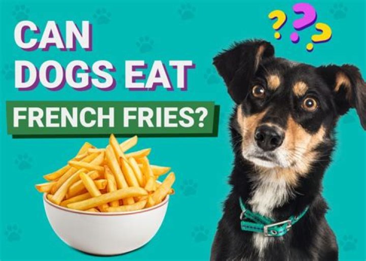 Can dogs eat french fries?