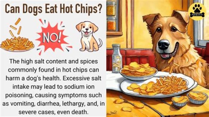 Can dogs eat hot chips?
