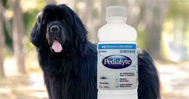 Can dogs have Pedialyte?