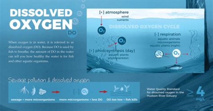 Can water exist without oxygen?