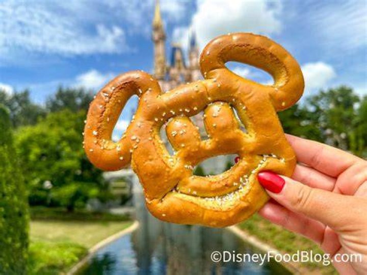 Can you bring snacks to Disney World?