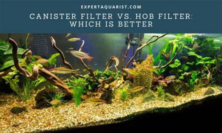 Can you over filter a fish tank?
