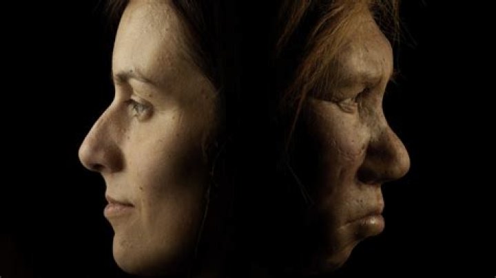 Could Neanderthals still exist?