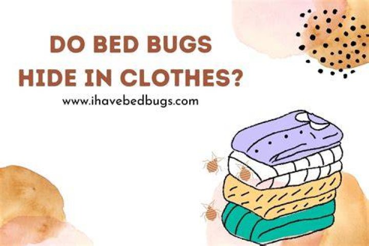 Do bed bugs hide in hanging clothes?