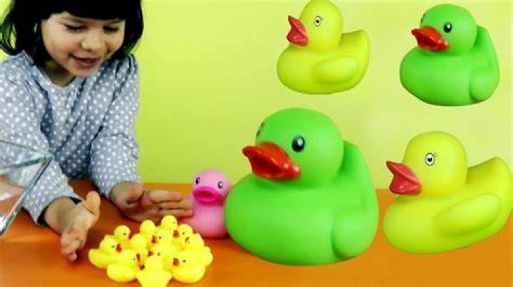 Do ducks play with toys?