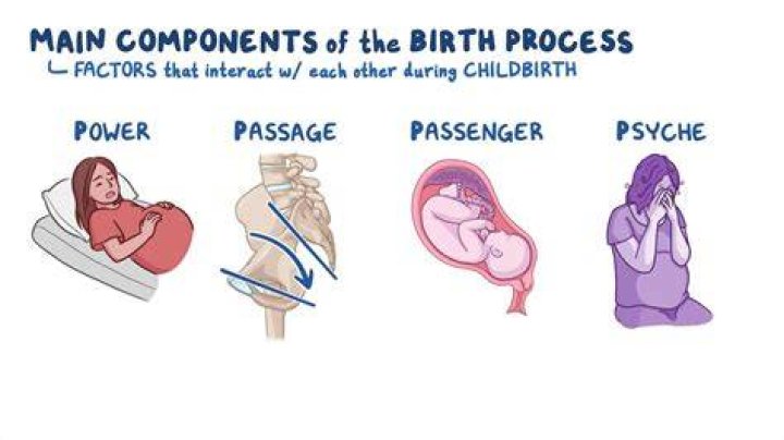 Do mothers bones break during childbirth?