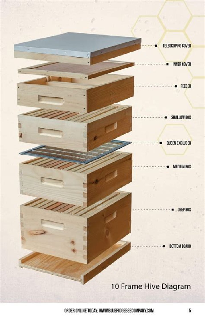 How do I increase the bee population in my hive?