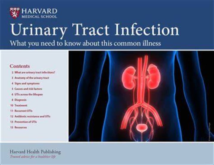 How do I know if a UTI has spread to my kidneys?