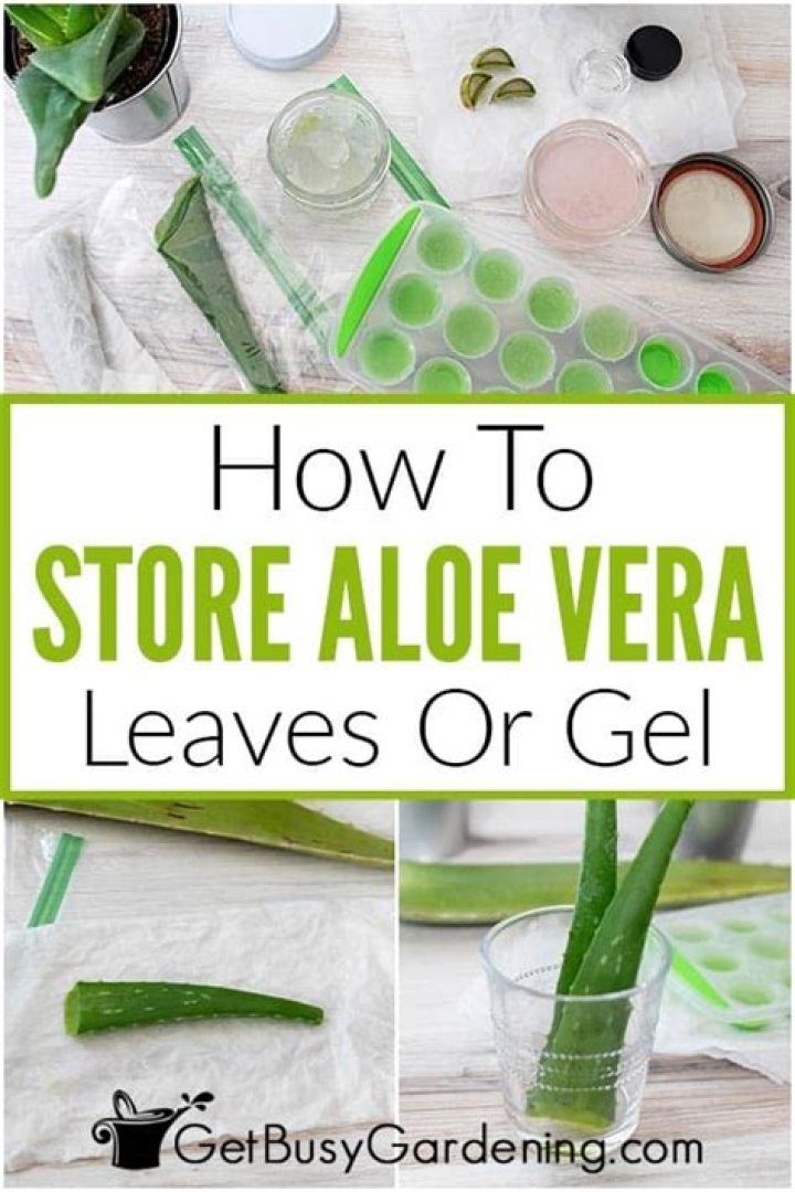 How do I store aloe vera gel?