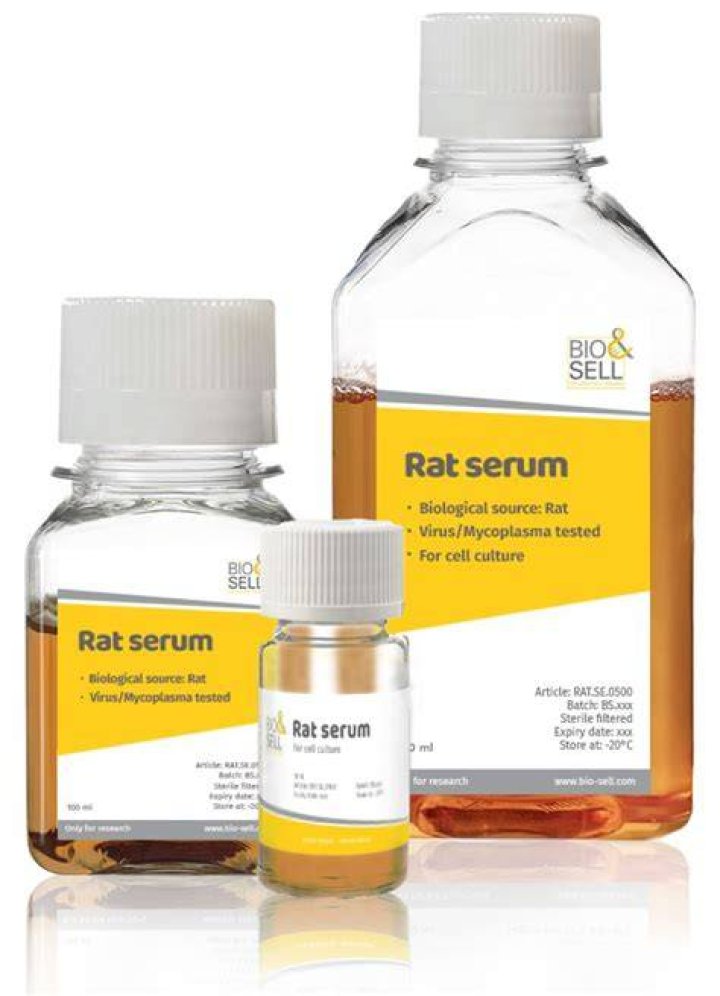 How do you get rat serum?