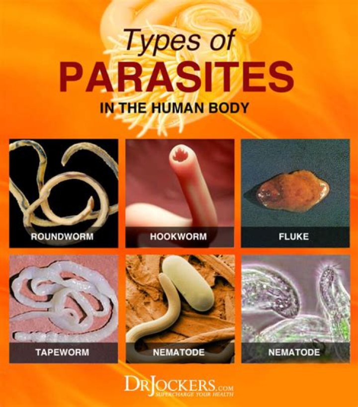 How do you know if you have parasites in your stool?