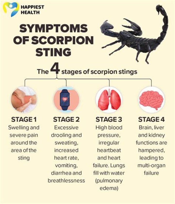 How do you neutralize scorpion poison?