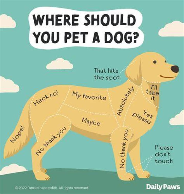 How do you remove a tick from a dog when the dog won't let you?