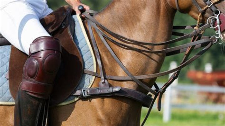 How long does a horse saddle last?
