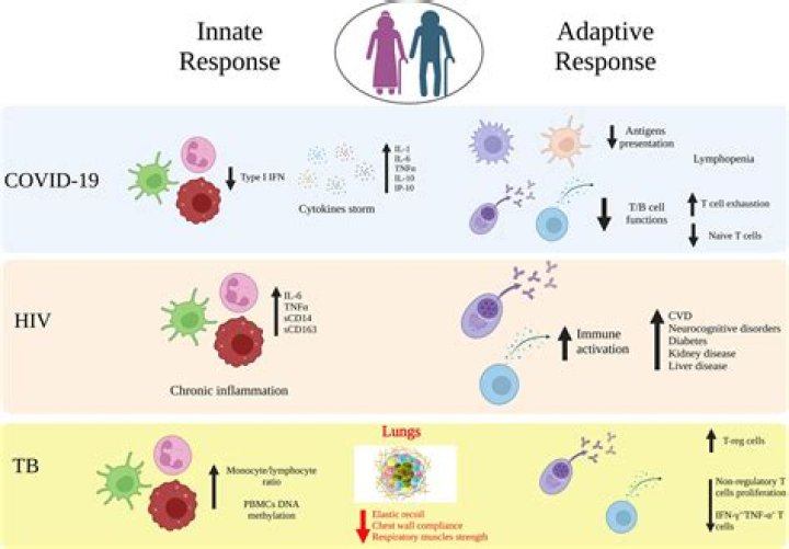How long does immunity last after COVID-19 infection?