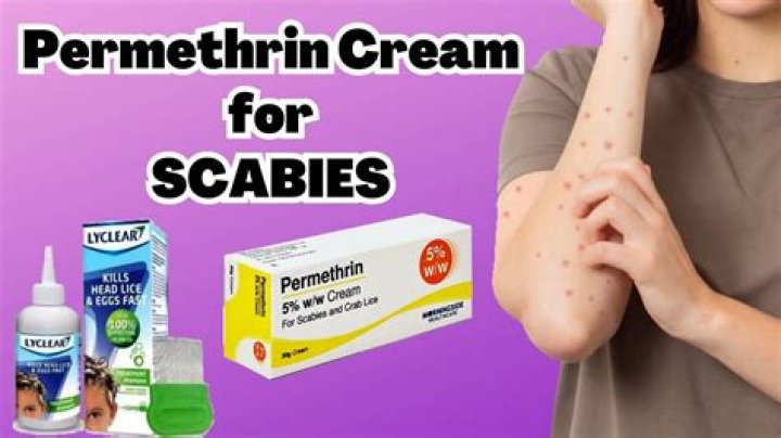 How long till scabies bumps go away?