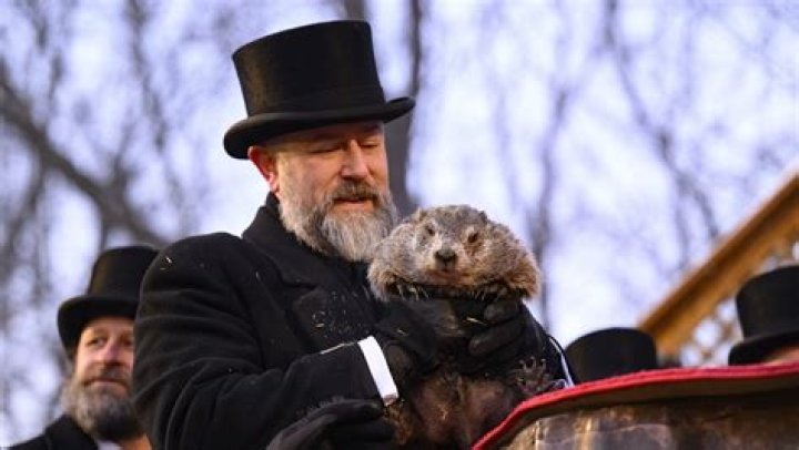 How old is Punxsutawney Phil?