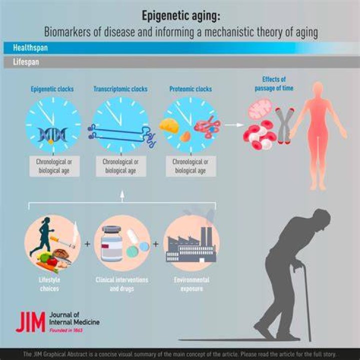 Is aging genetic or lifestyle?