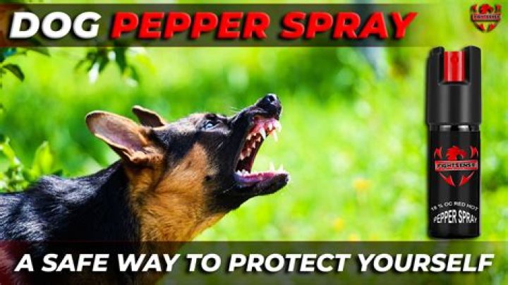 Is dog repellent the same as pepper spray?