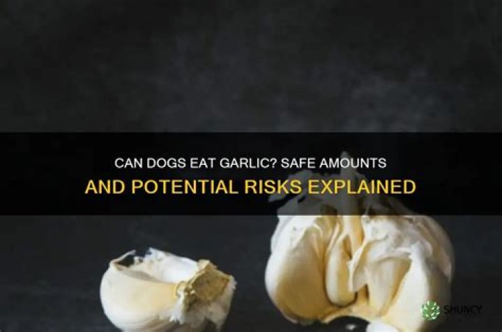 Is garlic OK for dogs?