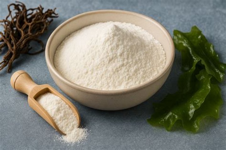 Is it OK to eat sodium alginate?
