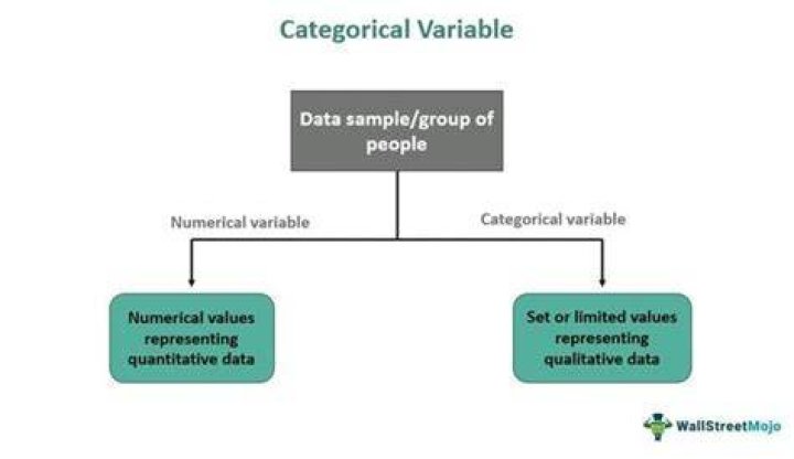 Is name a categorical variable?