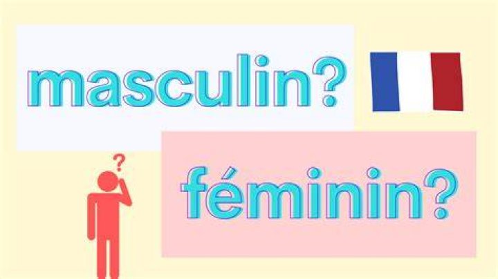 Is Soup feminine or masculine French?