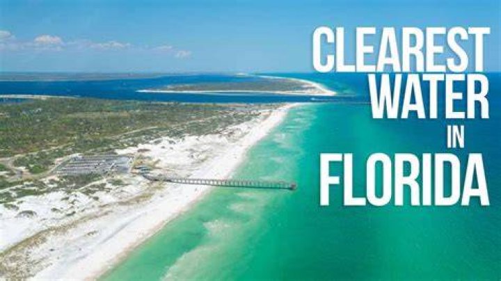 Is Tampa Florida water clear?