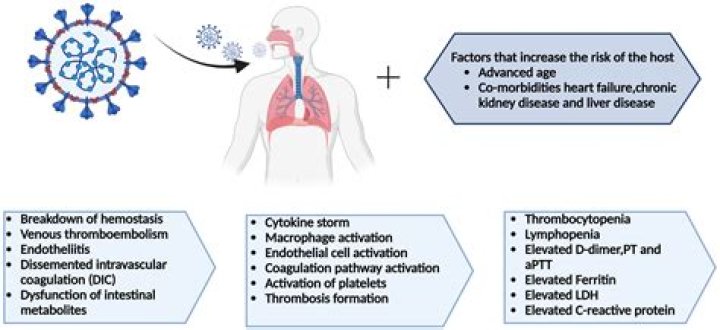 Is there a link between COVID-19 and blood group?