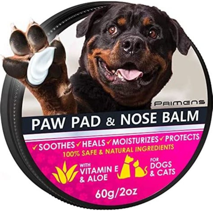 Should you moisturize dog paws?