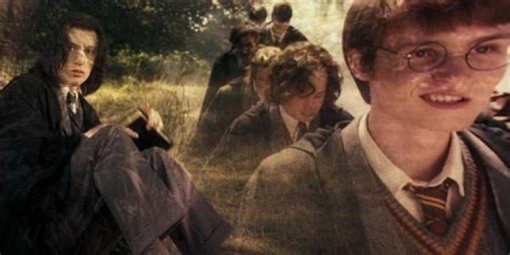 Was James Potter a bully?
