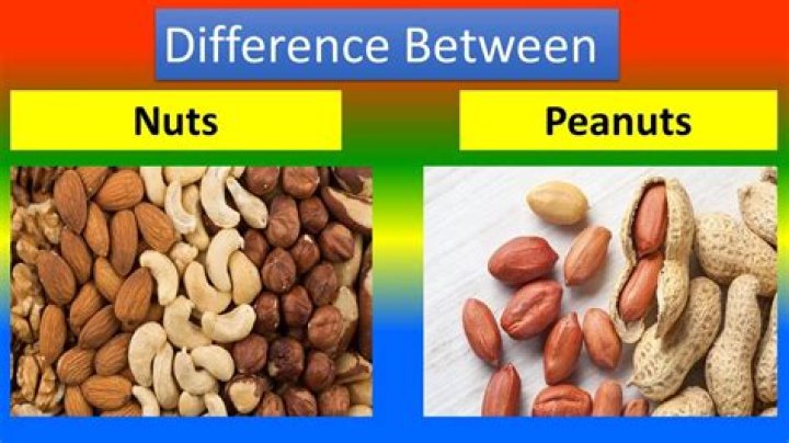 What's the difference between groundnut and peanut?