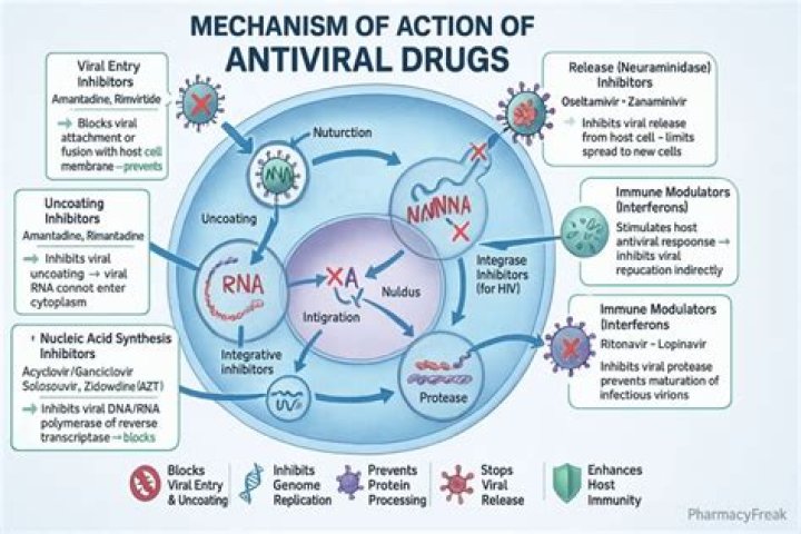 What antiviral drugs are available for treatment of COVID-19?