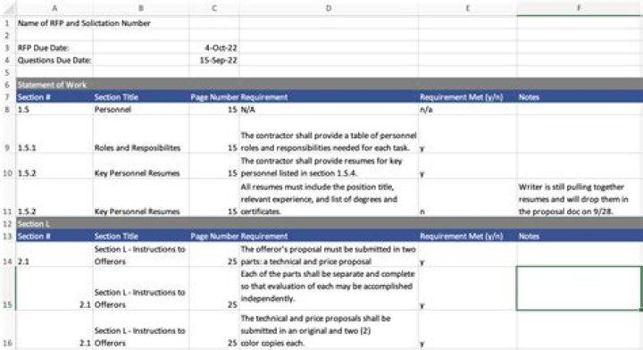 What are RFP requirements?