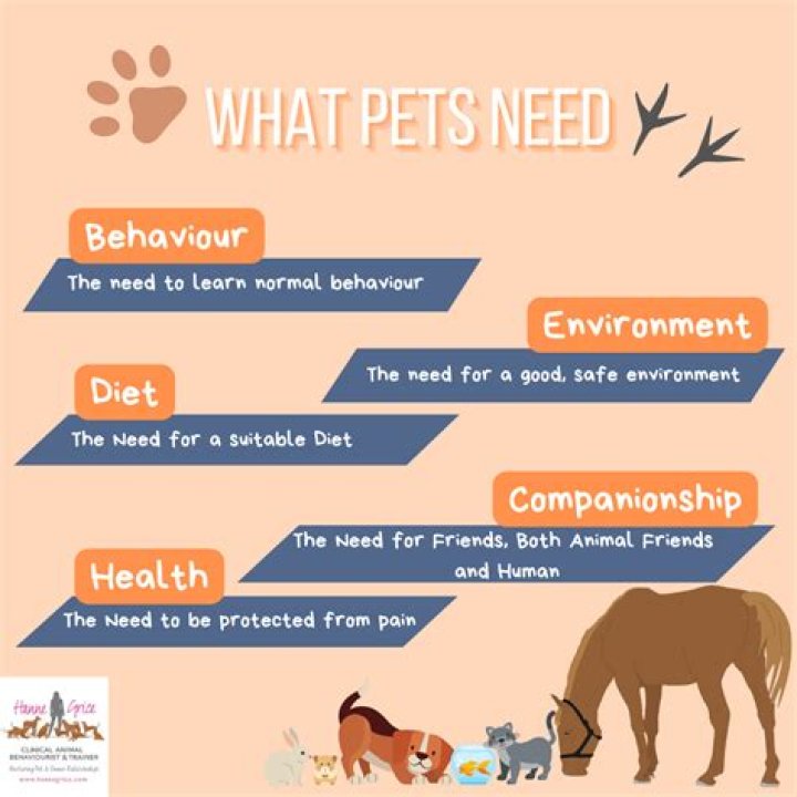 What are the 10 needs of a cat?