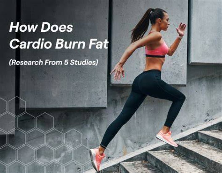What cardio burns the most fat?