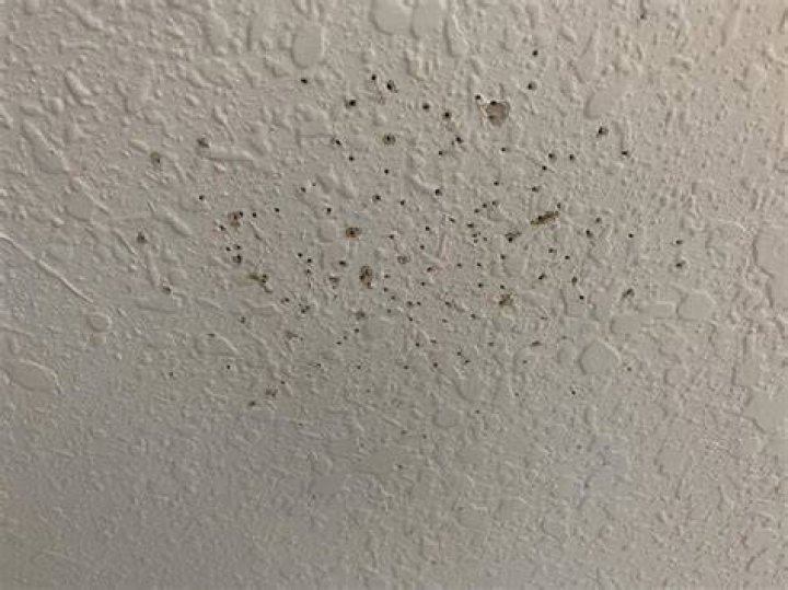 What causes tiny holes in ceiling?