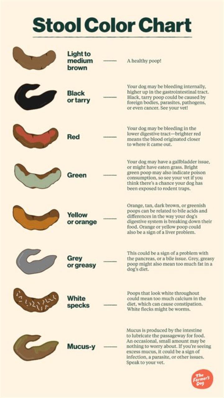 What color is your stool if you have liver problems?
