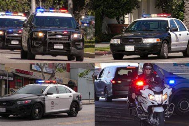 What do Jamaican call police?