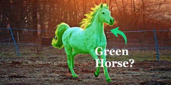 What does a green horse mean?
