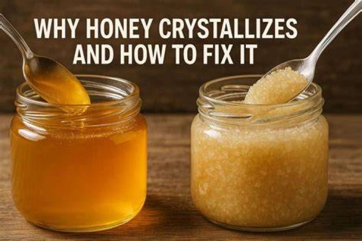 What does honey mean in a relationship?
