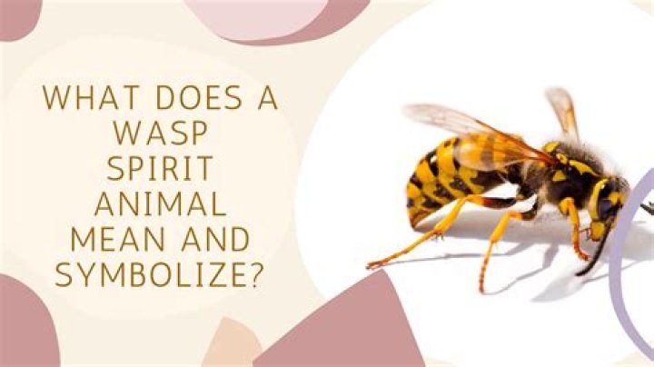 What does WASP stand for?