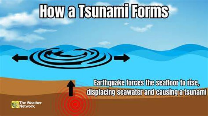 What happens if you try to swim through a tsunami?