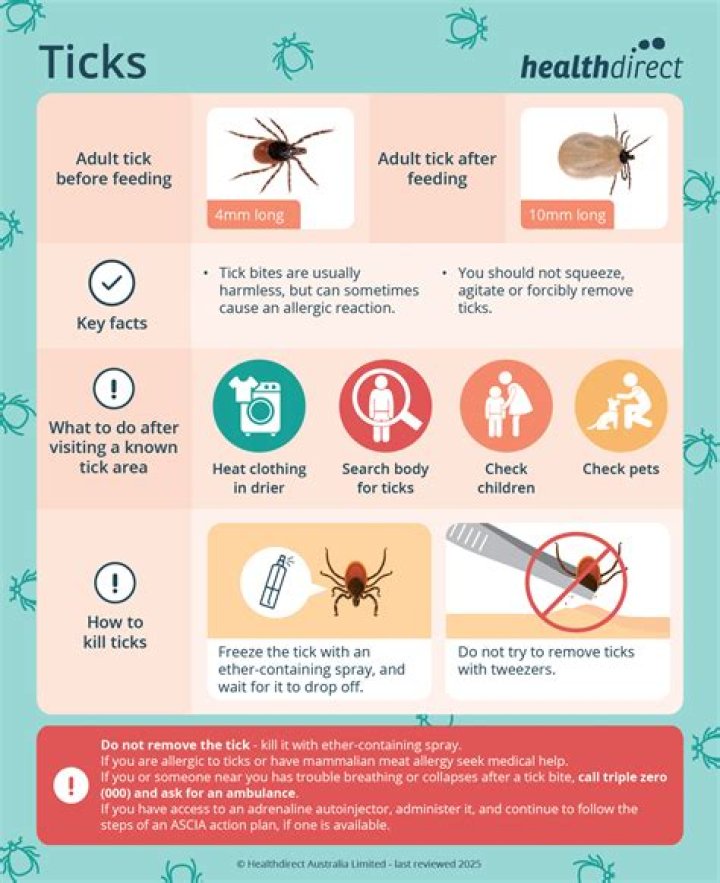 What happens to a tick if it is not removed?