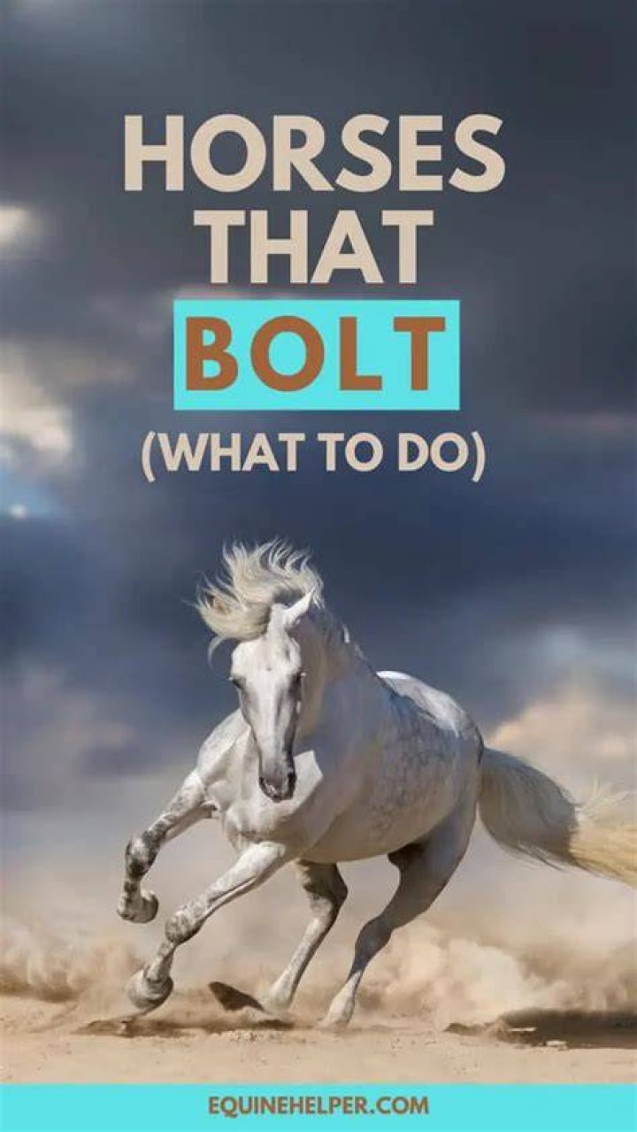What happens when a horse bolts?