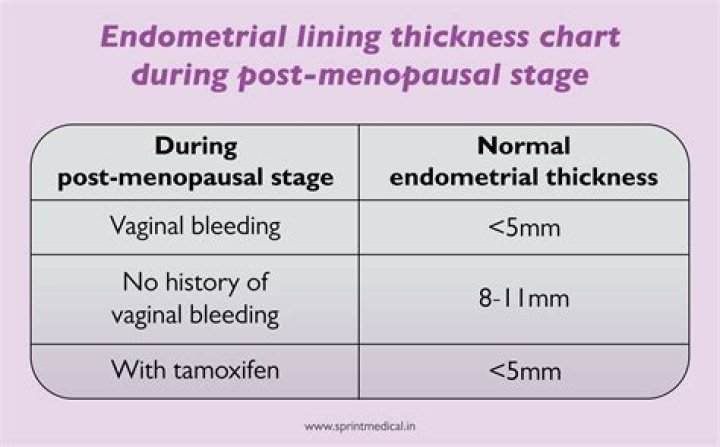 What is the normal size of PCOS?