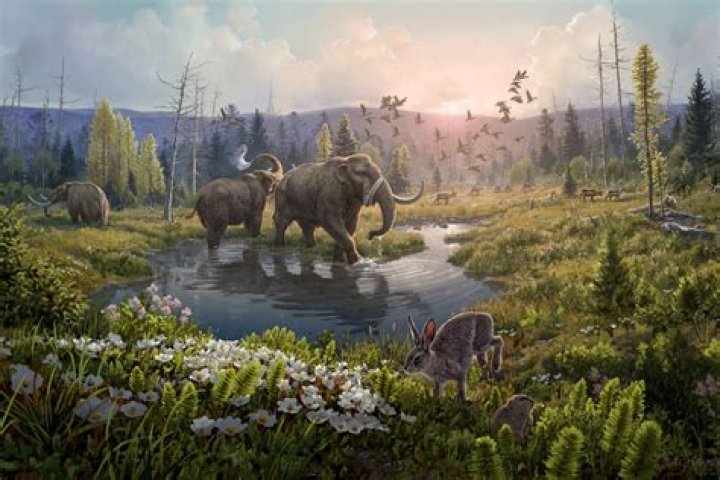 What is the oldest DNA ever found?
