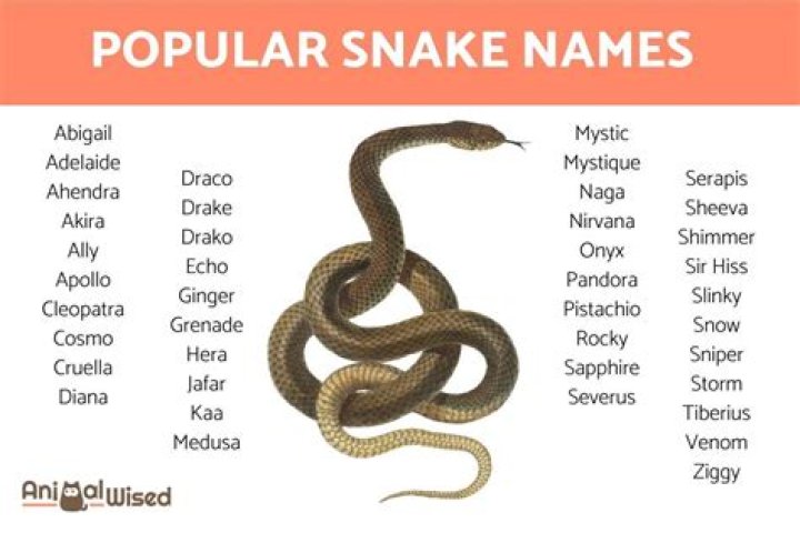 What names mean snake?