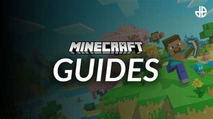 What program is Minecraft coded in?