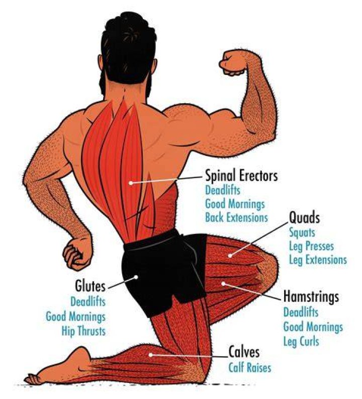 What sport builds the most leg muscle?